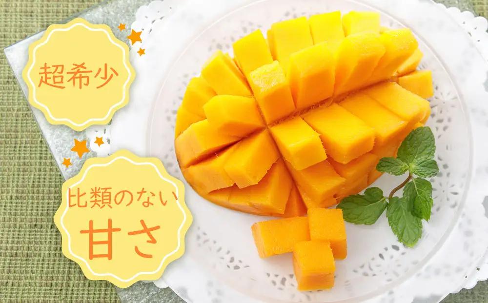 超希少なマンゴー［キーツ］約800g 和歌山市［2026年9月中旬頃から発送］