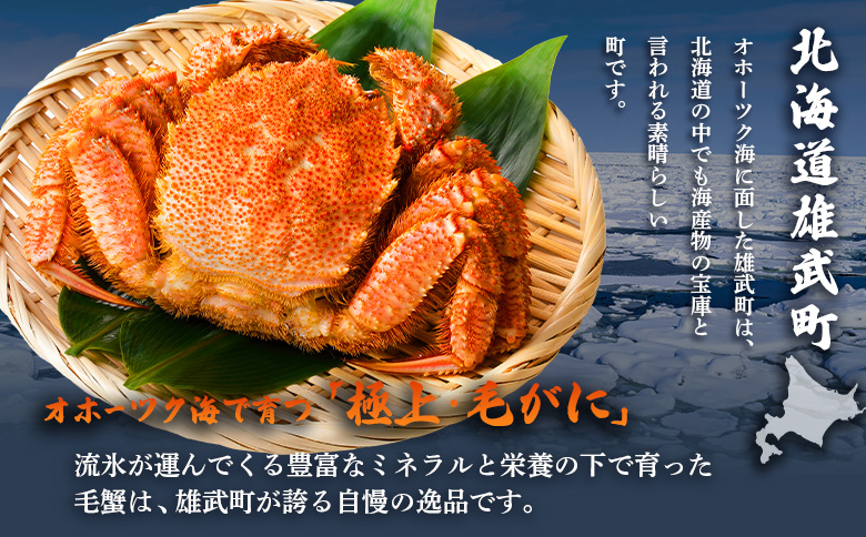 オホーツク産 オホーツク 毛がに 毛ガニ 毛蟹 蟹 カニ 750g 1尾 かに かにみそ カニみそ かに味噌 濃厚 北海道オホーツク産 海産物 海産 海鮮 魚介 魚貝 魚介類 冷凍 ふるさと納税 北海