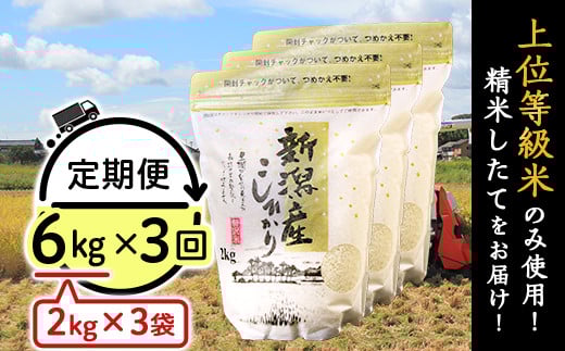 【3ヶ月連続お届け】新潟県産コシヒカリ6kg（2kg×3袋）