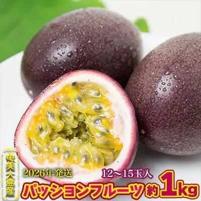 2026年発送【奄美大島産】香り爽やかパッションフルーツ 約1kg 果物 フルーツ