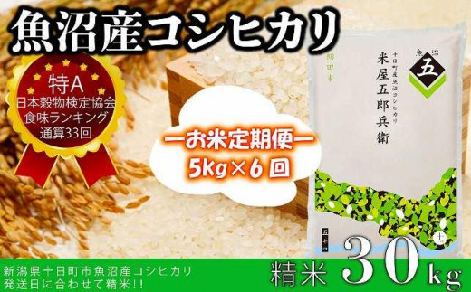 
【定期便／全6回】十日町産魚沼コシヒカリ　米屋五郎兵衛　棚田米　精米5kg
