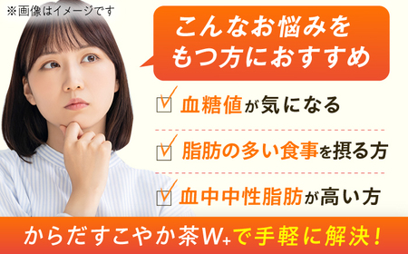 【全3回定期便】からだすこやか茶Ｗ 計72本（350ml×24本×3回） / 特定保健用食品 お茶 / 佐賀県 / コカ・コーラボトラーズジャパン株式会社[41AFAO023]