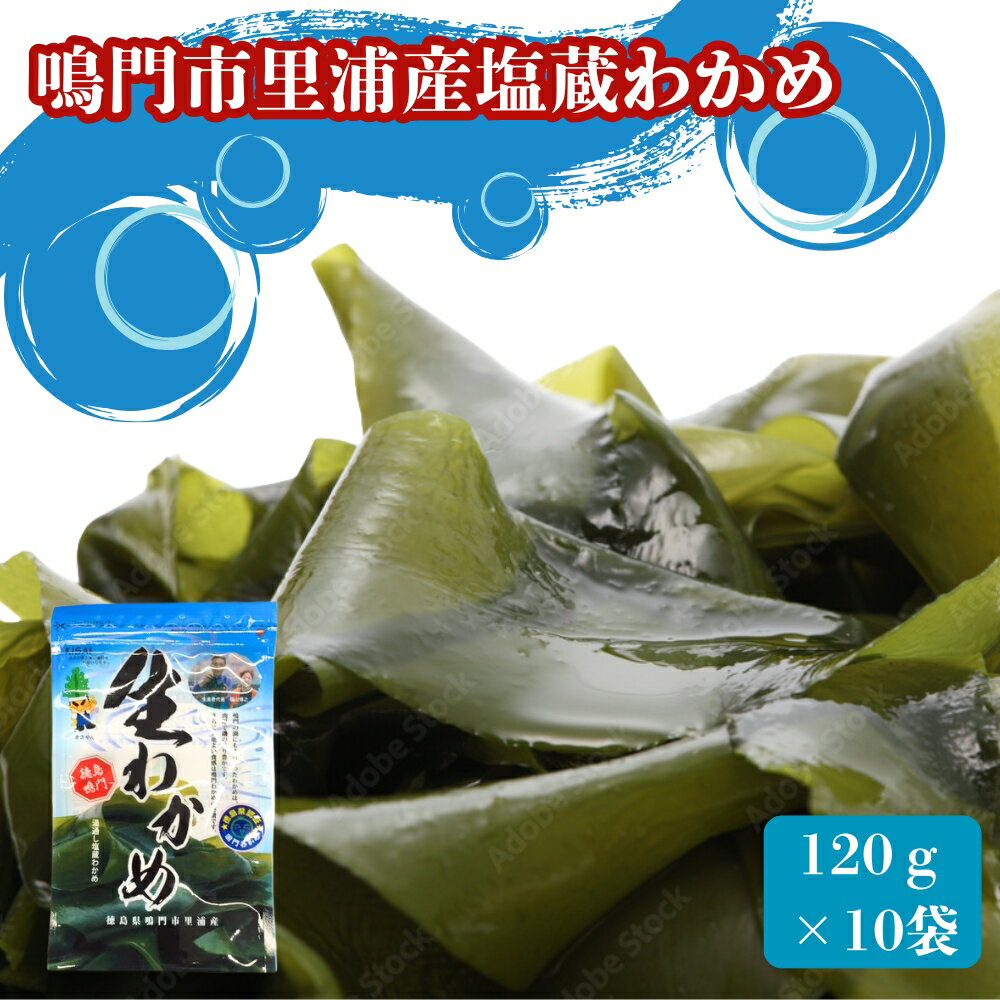 【ふるさと納税】鳴門市里浦産 塩蔵わかめ 1.2kg（120g×10袋）＜貴彩＞ ｜ 鳴門わかめ 国産 徳島 小分け ギフト 贈り物