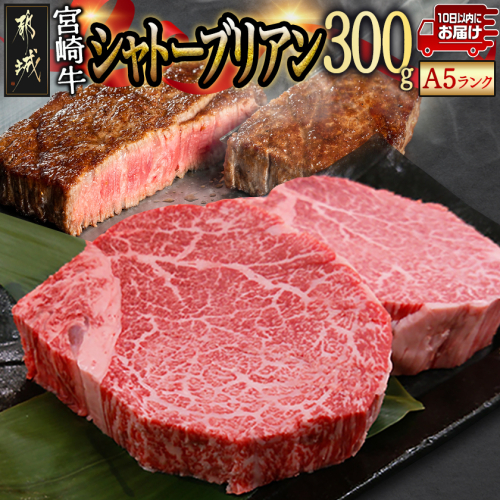 宮崎牛シャトーブリアン(A5)150g×2枚≪真空≫≪みやこんじょ特急便≫_AF-01-001-Q