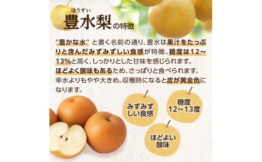 梨 梨 豊水 梨5kg