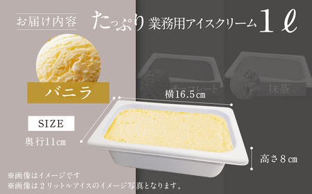 [バニラ味] 業務用アイス 1リットル アイス ロワゼット