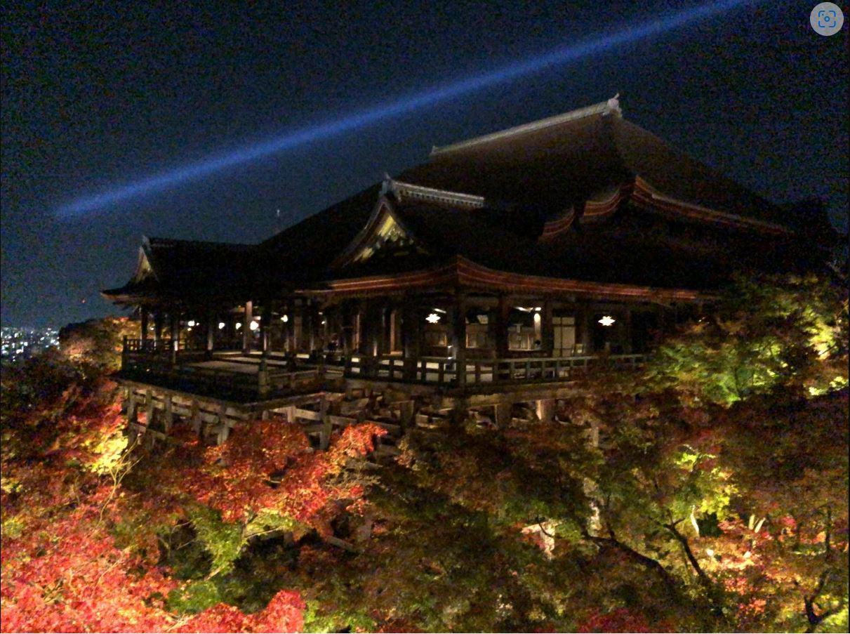 京都文化満喫体験 ※寄附金は文化財保護に使途を限定しています。