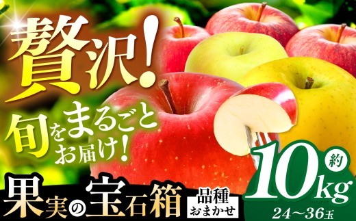【果実の宝石箱】信州梓川りんご プレミアムMIX  10kg(24～36玉) ｜ ふるさと納税 松本市 りんご リンゴ 果物 フルーツ 信州 美味しい 特選 長野県