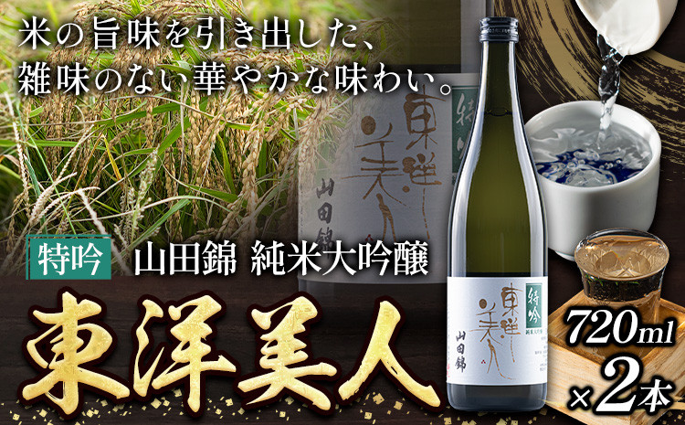 
            日本酒 新酒 東洋美人 特吟 山田錦 純米大吟醸 2本 計1440ml 1本あたり 720ml 福岡吟醸倶楽部株式会社《30日以内に出荷予定(土日祝除く)》福岡県 鞍手郡 鞍手町 酒 熱燗 送料無料
          