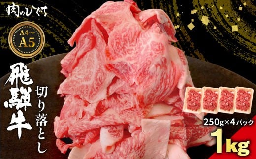 【4月発送】 飛騨牛 切り落とし 1kg（250g×4P） A5 A4 国産 牛 黒毛和牛 和牛 牛肉 切落し 切り落し 薄切り 訳あり 牛丼 すき焼き しゃぶしゃぶ 炒め物 東白川村 岐阜 飛騨 贅沢 霜降り ロース バラ もも ウデ 肉のひぐち