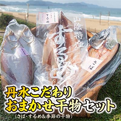 ふるさと納税 京丹後市 丹水こだわりおまかせ干物セット(さばと季節の干物2〜3種)
