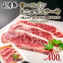 【ふるさと納税】国産牛 サーロインミニッツステーキ3枚（合計400g）牛肉 有田牧畜産業 ふるさと納税 訳あり