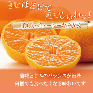 【2025年10月順次発送】温州みかん 10kg  みかん 温州みかん 完熟 柑橘 果物 フルーツ 国産 新鮮 徳島 小松島【北海道、東北、離島、沖縄配送不可】