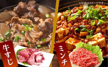【全12回定期便】佐賀牛 A5 おうちごはんセットB（切り落とし 1kg・ミンチ 600g・牛すじ 600g） HAD127  佐賀牛