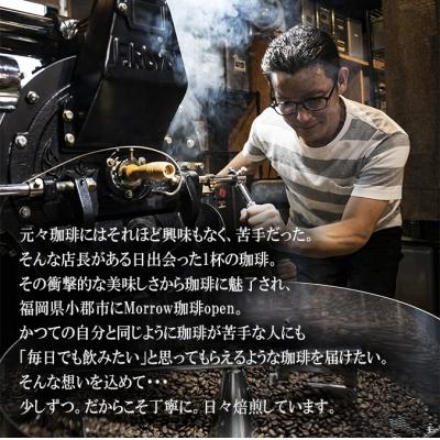 ふるさと納税 小郡市 定期便12回自家焙煎ブルーマウンテン(ストレート・豆)200g×2ポスト[No5354-0762] |  | 02