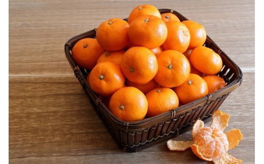 【先行予約・年明け配送】 令和8年1月から出荷開始 / 荒木一番みかん約10kg _1422R-2