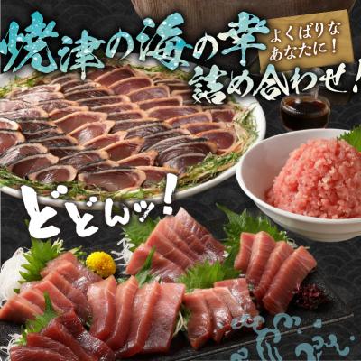 ふるさと納税 焼津市 南鮪 中とろ 藁焼き かつおたたき ねぎとろセット(a32-007) |  | 02