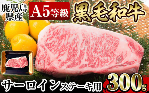 
a904 ≪A5等級≫鹿児島県産黒毛和牛サーロイン(300g) ギフト箱入り！【水迫畜産】国産 肉 牛肉 牛 黒毛和牛 ステーキ
