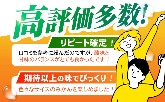 伊木力みかん みかん 蜜柑 ミカン オレンジ 柑橘 果物 フルーツ 冬 こたつ 濃厚 甘い 甘味 ジューシー 果汁 おすすめ