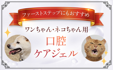 76019_DHC ペット用 国産 口腔ケアジェル2個セット MBB062