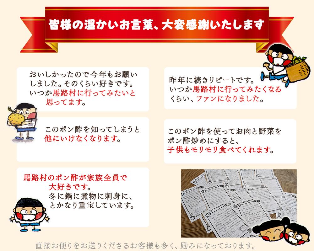 ゆずの村のゆずギフト②（３P-206）　ゆず 柚子 お歳暮 贈答用 調味料 ゆずポン酢 贈り物 ギフト 【597】