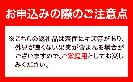 はっさく 皮むきに便利なムッキーちゃん付き 約5kg ときわオンライン【先行予約】