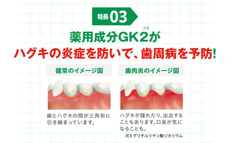 ガム・デンタルペースト 155g×20本[AOAD026] 歯磨き粉
