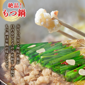 国産 小腸 ホルモン 1.6kg 牛肉 冷凍 真空 小分け 200g×8 パック牛 焼肉 もつ鍋 バーベキュー 鉄板焼き BBQ おかず おつまみ 贈答 お祝い お歳暮 お中元 大阪府 松原市