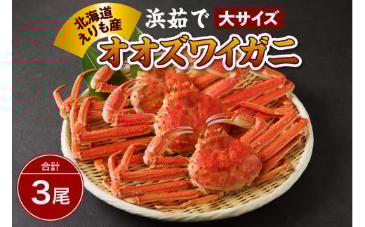 浜茹でオオズワイガニ3尾【えりも産】【er004-004-d】