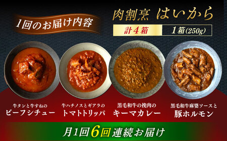 【6回定期便】【ギフト箱無しでその分お得】肉割烹はいから『牛タンと牛すねのビーフシチュー』『牛ハチノスとギアラのトマトトリッパ』『黒毛和牛の挽肉のキーマカレー』『黒毛和牛の麻婆ソースと豚ホルモン』/ 