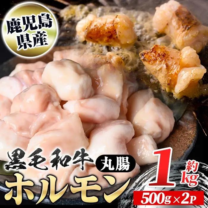 黒毛和牛 ホルモン 牛ホルモン 丸腸 計約1kg 約500g×2P もつ鍋 鹿児島県産 国産 真空パック 焼肉【新村畜産】A01037