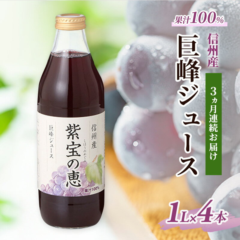 【ふるさと納税】3ヵ月連続お届け 信州産 巨峰ジュース 果汁100％　「紫宝の恵」 (1L×4本)