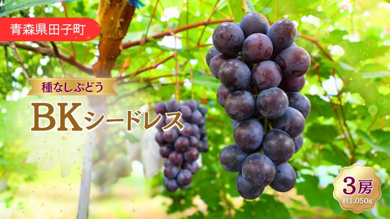 
                  青森県田子町産　ぶどう「BKｼｰﾄﾞﾚｽ」 1kg
                