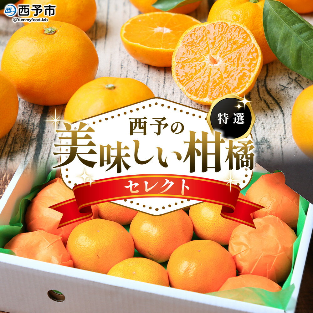 【ふるさと納税】＜西予の美味しい柑橘セレクト（特選）＞ 選べる 果物 くだもの フルーツ 蜜柑 みかん ミカン 柑橘 贈答 贈答用 ギフト プレゼント 特選 温州みかん 化粧箱 食べて応援 国産 愛媛県産 特産品 西予みかん倶楽部 愛媛県 西予市【常温】