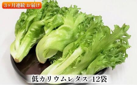 アノレタス（リーフレタス）新鮮シャキシャキ 栽培期間中無農薬低カリウムレタス 12袋×3ヶ月連続お届けセット【kkry-tkb0001】