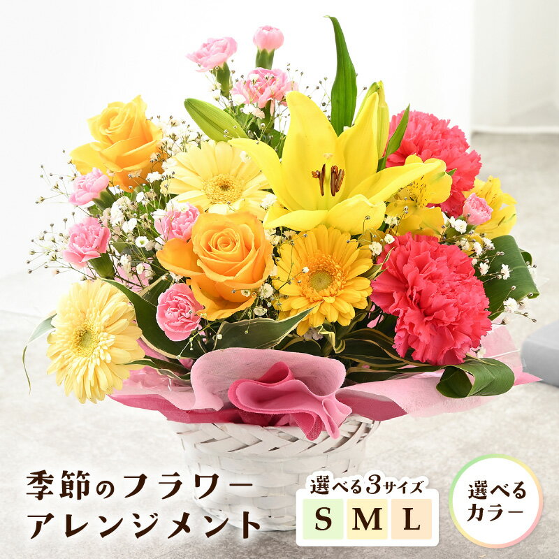 【ふるさと納税】 【父の日ギフト】 季節のフラワーアレンジメント 選べる3サイズ (S/M/L) 【カラー：レッド・ピンク / イエロー・オレンジ / カラフル】 レビューキャンペーン実施中！ 【お花 フラワー 花束 ギフト 生花 プレゼント 花束 花 記念日 お祝い】