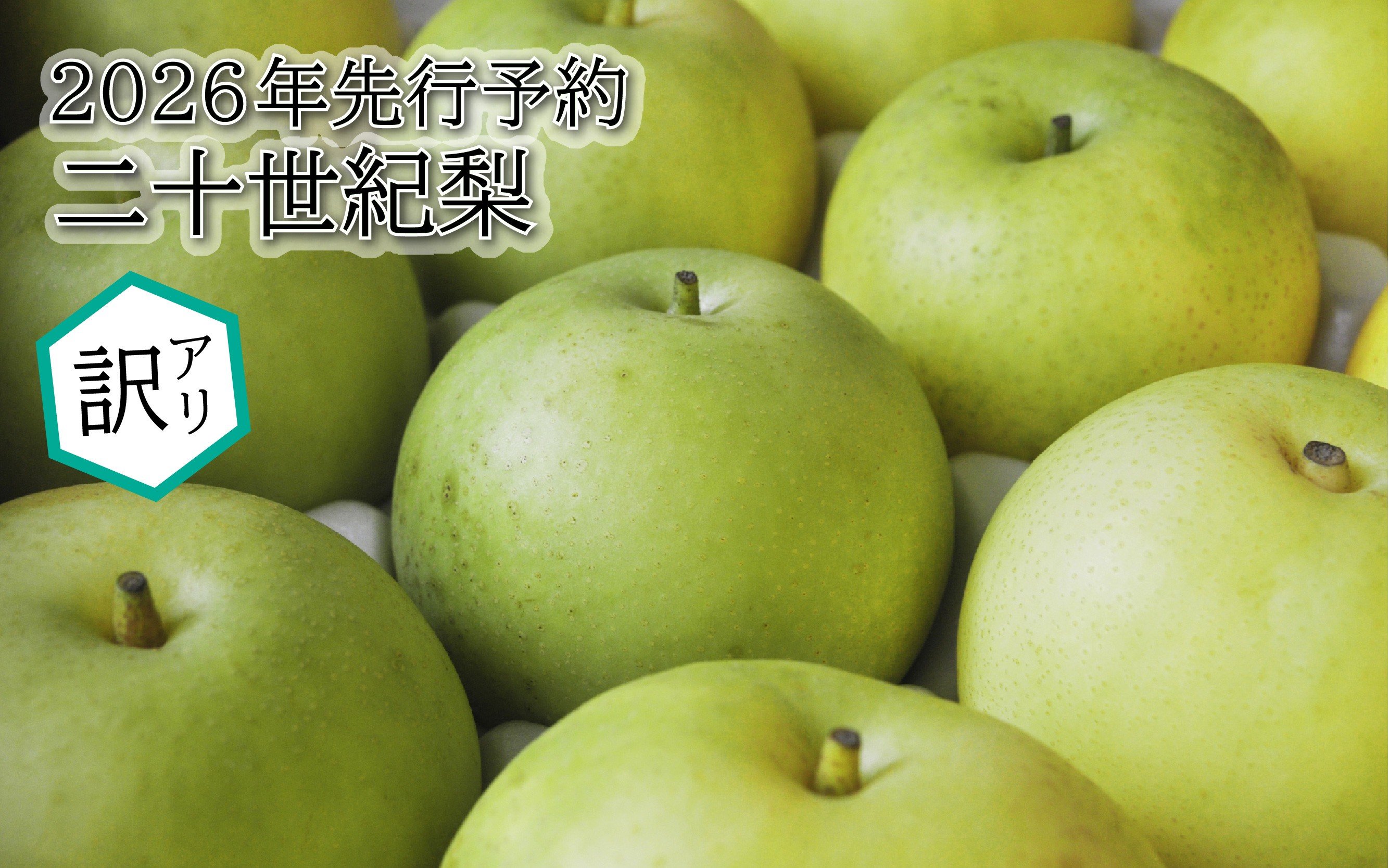 
                  【2026年 先行予約】訳あり 二十世紀梨 3～10kg｜鳥取 東光園 梨 2026年収穫後 2026年8月下旬～9月頃順次発送※着日指定不可
                