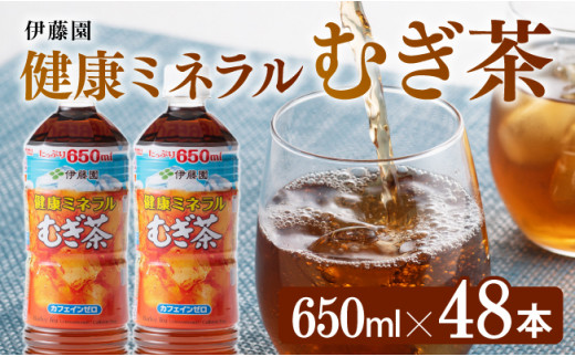 
健康ミネラルむぎ茶650ml×24本×2ケースPET 飲料類 お茶 麦茶
