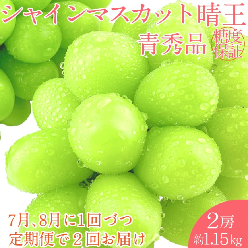 
                  2026年 予約受付中【2回定期便】 シャインマスカット 晴王 2房約1.15kg 7月～8月出荷/ 岡山県産 種無し 皮ごと食べる みずみずしい フレッシュ 晴れの国 おかやま 果物大国 彩美菜果
                
