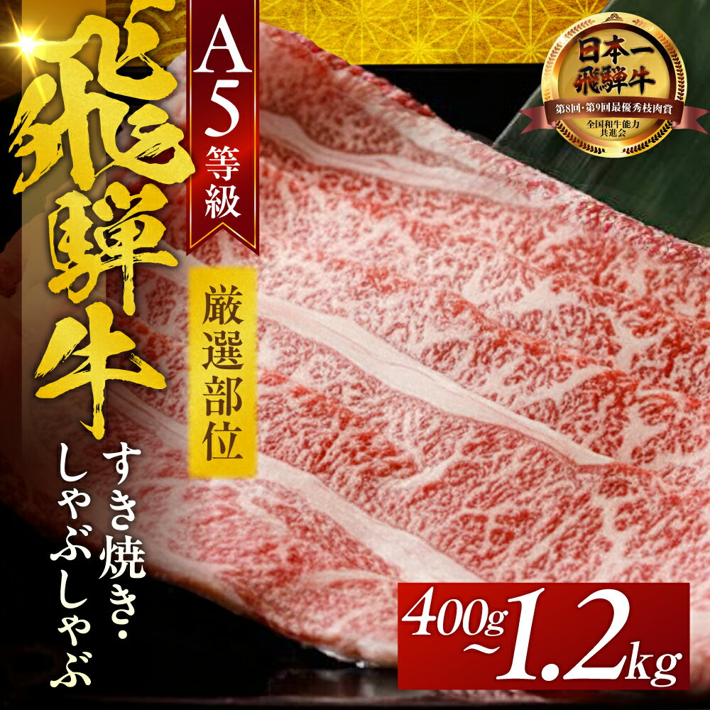 【ふるさと納税】 A5飛騨牛 すき焼き / しゃぶしゃぶ 厳選部位 400g / 800g / 1.2kg 飛騨牛 牛肉 肉 黒毛和牛 希少部位 国産 厳選 ブランド牛 お取り寄せ 高級 岐阜県 大垣市