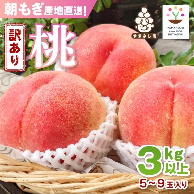 
            ＜訳あり品＞ご家庭桃・朝もぎ産地直送・3kg以上【1178167】
          