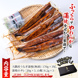 【定期便３回】大隅特産うなぎ蒲焼３尾（510g）【国産】 2482