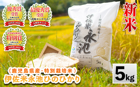 Z7-01 令和6年産 新米 特別栽培米 永池ひのひかり(5kg)伊佐市 特産品 鹿児島 永池 お米 米 白米 精米 伊佐米 九州米サミット 食味コンテスト 最優秀賞受賞 ヒノヒカリ【エコファーム永池】