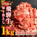 【ふるさと納税】《年内発送》【訳あり】飛騨牛 切り落とし 250g×4 計 1kg 小分け 牛肉 肉 和牛 黒毛和牛 国産 わけあり ワケアリ 冷凍 スライス 切落し きりおとし 薄切り 牛丼 すき焼き 焼肉 カレー にも 24000円 [Q1902x] 年内配送 年内お届け 12月 飛騨市