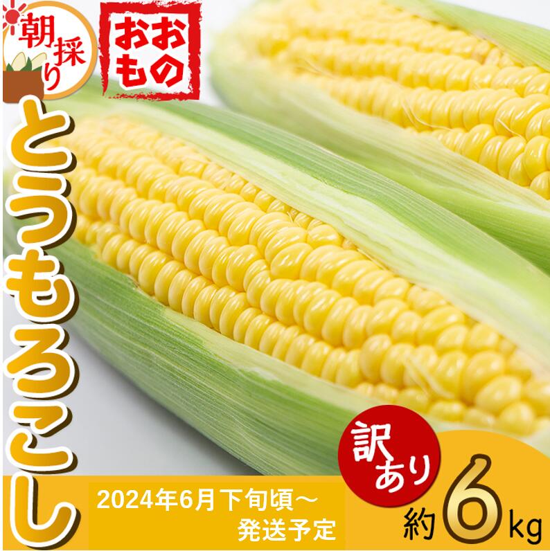 【ふるさと納税】【訳あり】下妻産朝採りとうもろこし（おおもの）約6kg【先行予約 2025年7月上旬頃～順次発送予定】