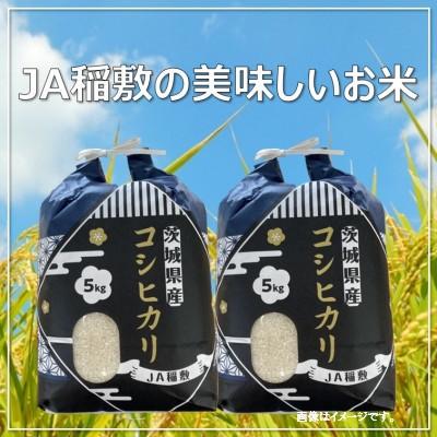 ふるさと納税 稲敷市 【令和7年産】コシヒカリ白米10kg(5kg×2袋) | 