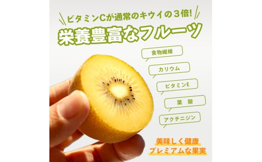 10月中旬～ 先行予約 キウイフルーツ さぬきゴールド 約1.3kg  果物 フルーツ キウイ ゴールドキウイ イエローキウイ デザート スイーツ ケーキ ジュース ゼリー アイス シャーベット ジェ