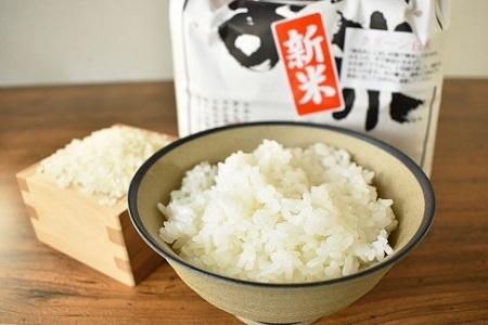 【京丹波のお米】ほたるの里のこしひかり・もち米セット（大） 新米 京都 コシヒカリ 精米 餅米 ※北海道・沖縄・その他離島6は配送不可 [019HS001L]