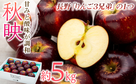 【2026年/令和8年度発送分！】信州のりんご 秋映 約5kg りんご リンゴ 林檎 長野 フルーツ 果物 信州産 長野県産 特産 産地直送 おすすめ