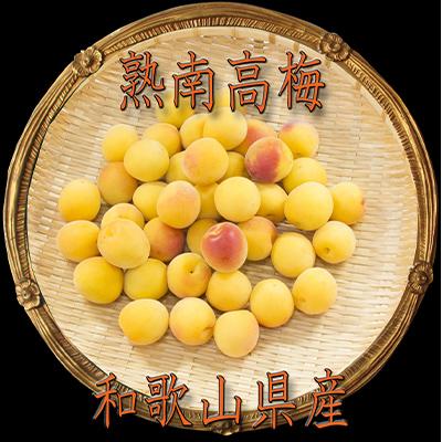 ふるさと納税 印南町 2026/6月より発送【梅干し・梅酒用】紀州和歌山の熟南高生梅2LorL-2kg